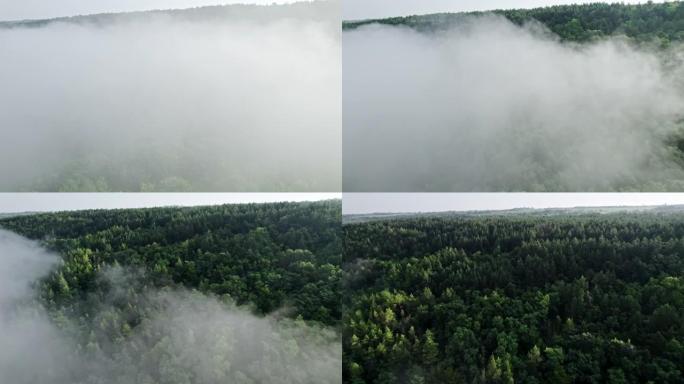 绿色山林的空中无人机视图。飞过浓雾或云层。奇妙的初夏早晨，平静的背景，放松，地球之美，自然概念