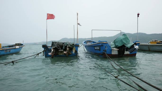 海湾里的小渔船