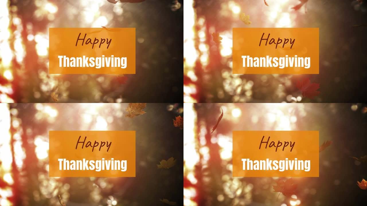 橙色横幅上的感恩节快乐动画落叶