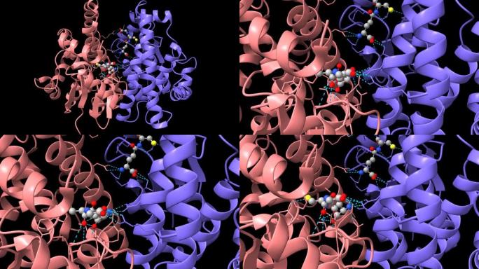 与谷胱甘肽复合物A1-1的人谷胱甘肽转移酶 (GST) 的晶体结构