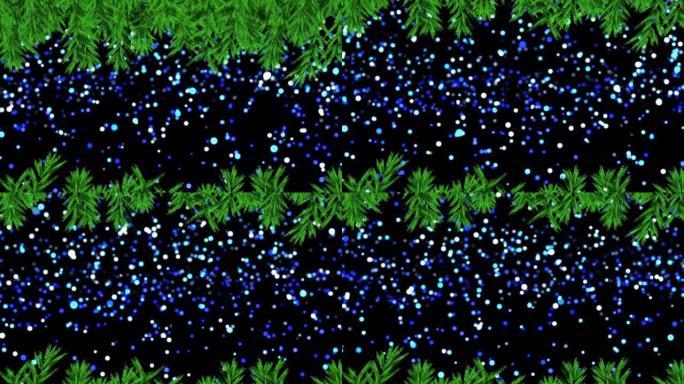 黑色背景上发光点和杉木树枝的动画