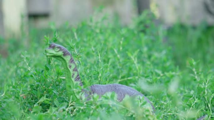一只塑料恐龙正走在绿草的背景上。古代动物。选择性聚焦