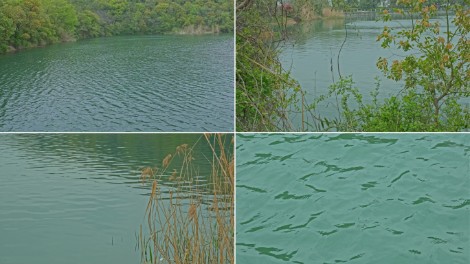 春天湖水湖面涟漪波浪