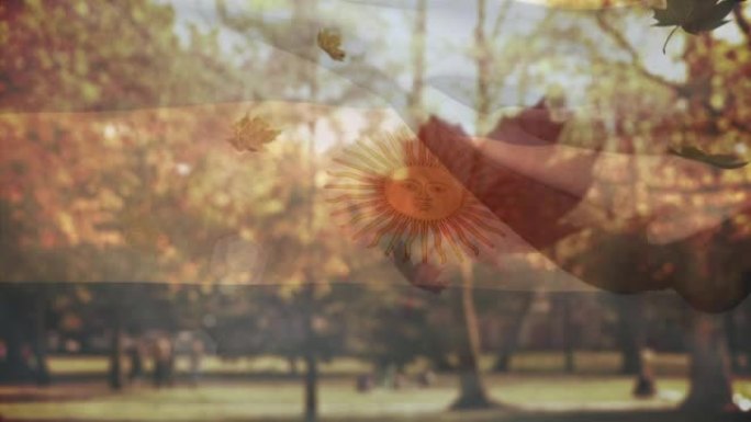 数字组成的阿根廷挥舞的旗帜在多个秋天落叶飘落在公园