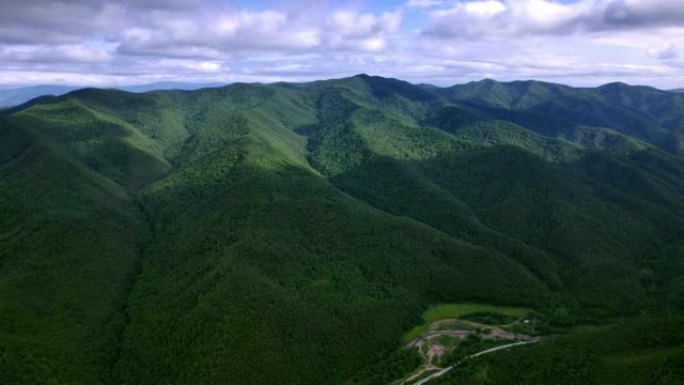 巨大的松树森林巍峨大山雄伟高山航拍中国