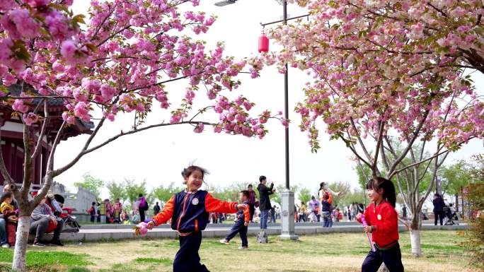 两个小女孩在樱花树下玩耍吹泡泡