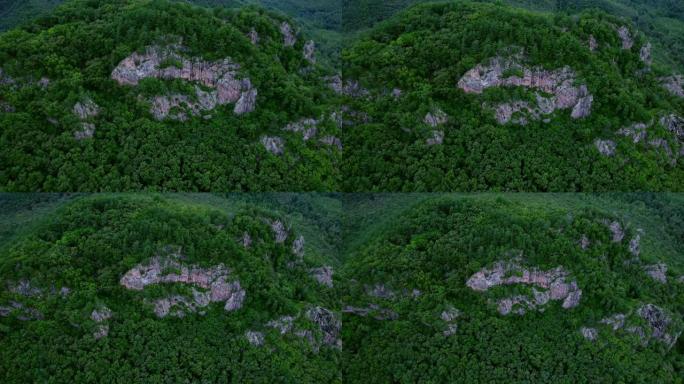 巨大的松树森林山峦青山石头裸露