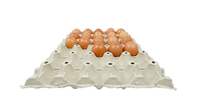 停止运动，白色背景上的鸡蛋。