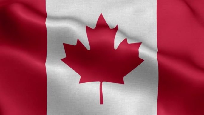 加拿大国旗-加拿大国旗高细节-加拿大国旗波浪图案循环元素-织物纹理和无尽的循环
