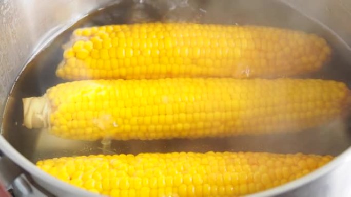 用热水煮玉米。在沸水中放入新鲜玉米的黄色玉米棒。视频4k分辨率