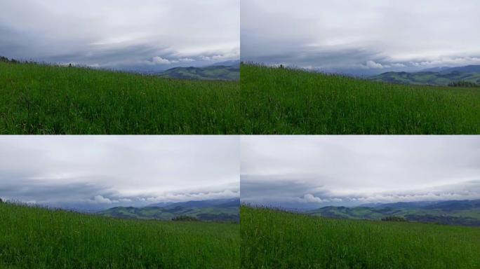 波兰草场景观的全景拍摄，云层和山脉引人注目