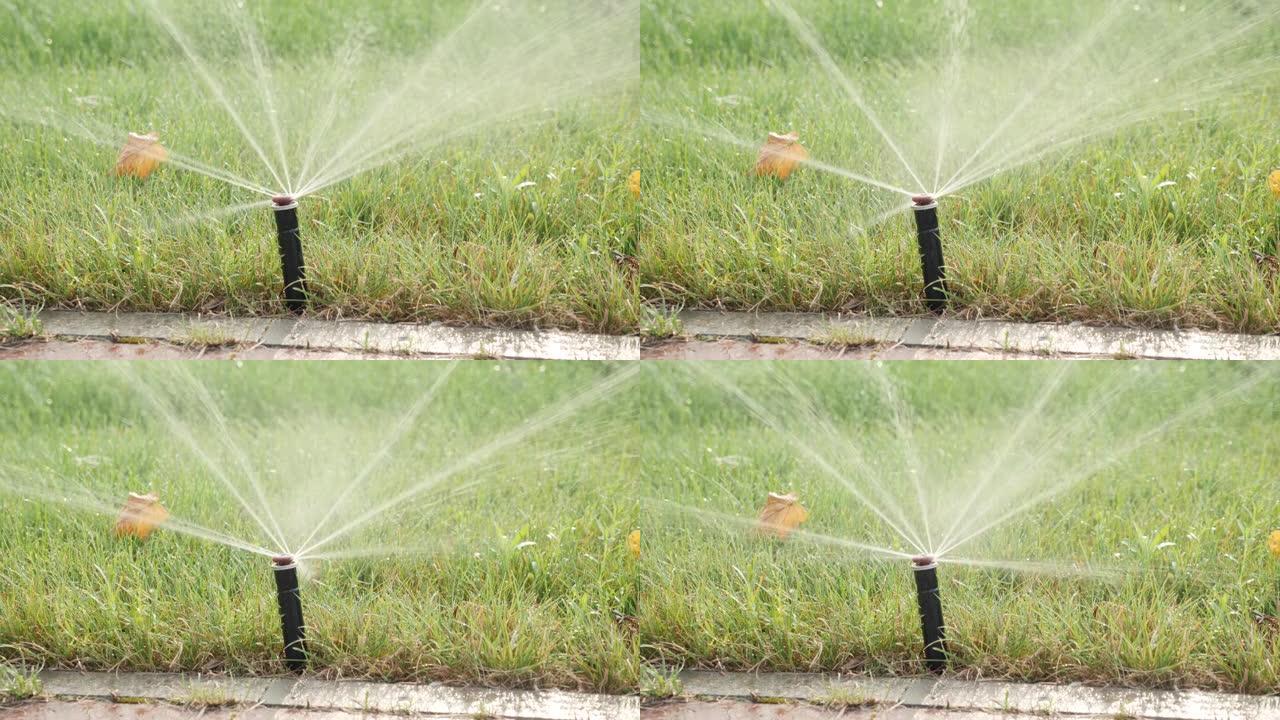 带有自动浇水系统的花园灌溉。工作水喷头的负责人。绿草茂盛的草坪自动浇水系统喷水喷嘴