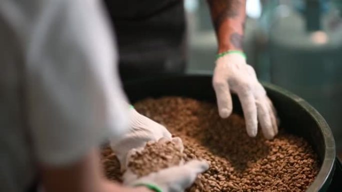 关闭高级男子和他的工人拿着一把生咖啡豆微笑着对从储物桶中挖出的质量感到满意，准备咖啡烘焙过程