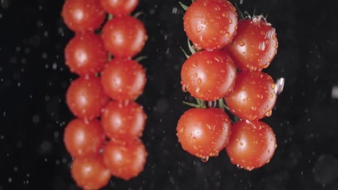 红色成熟的西红柿聚集在超级慢动作中，通过水滴浇水。一堆撒上水的湿西红柿。柔和的工作室照明中的黑色背景