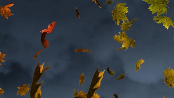 纹理灰色背景下漂浮的多个秋天枫叶的数字动画