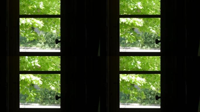 树木在蓝天下的夏日风中沙沙作响，穿过窗户和木框