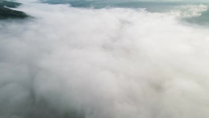 雨雾覆盖的雨林丛林的空中无人机视图。飞过云层。平静的背景，放松，地球之美，自然概念