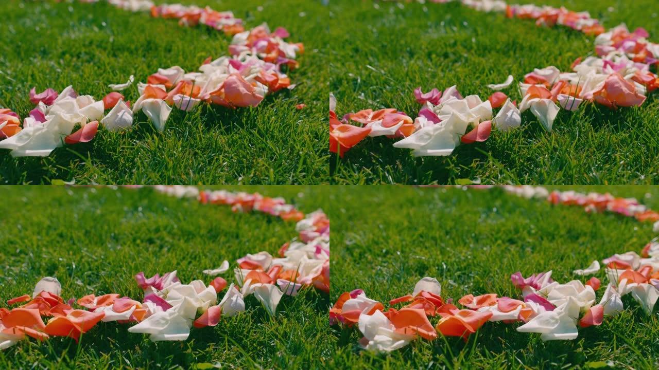 玫瑰花瓣躺在绿色的草地上