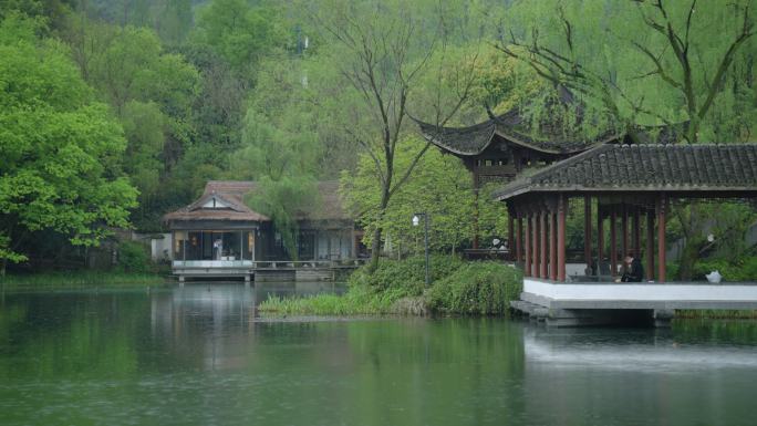 春天杭州乌龟潭阴雨天古建筑植物绿色自然