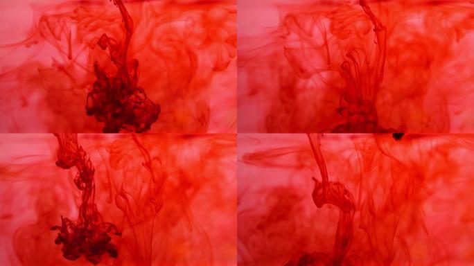 红色的血液或墨水滴入水中，溶解在红色背景上，慢动作。