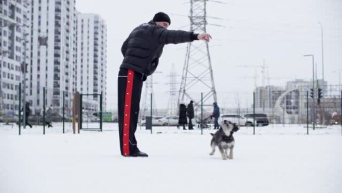 主人在雪街上冬季散步训练狗。男子在雪城的冬季训练中与蓬松的狗玩耍。