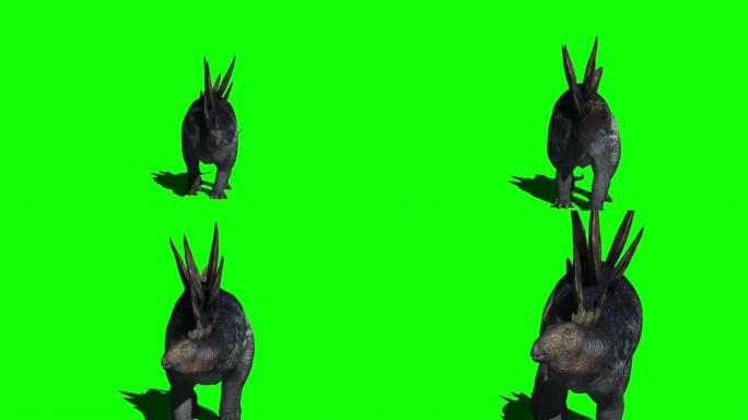在绿色屏幕上行走的剑龙恐龙