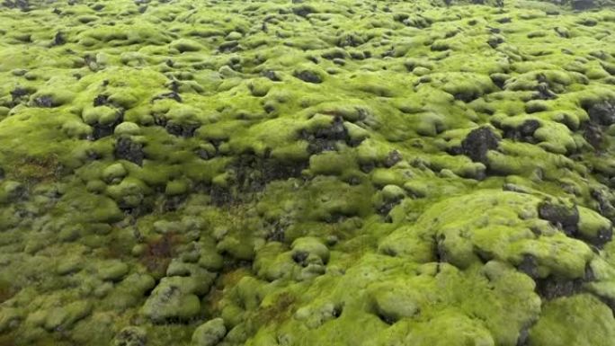 飞越冰岛的Eldhraun熔岩场，鸟瞰图
