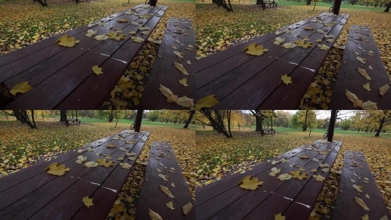 风在城市公园的凉亭中移动桌子上的秋叶。地上是一片秋天落叶的地毯。