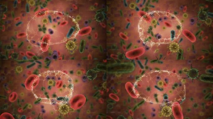人脑在漂浮的多个新型冠状病毒肺炎细胞和血管上旋转的数字动画