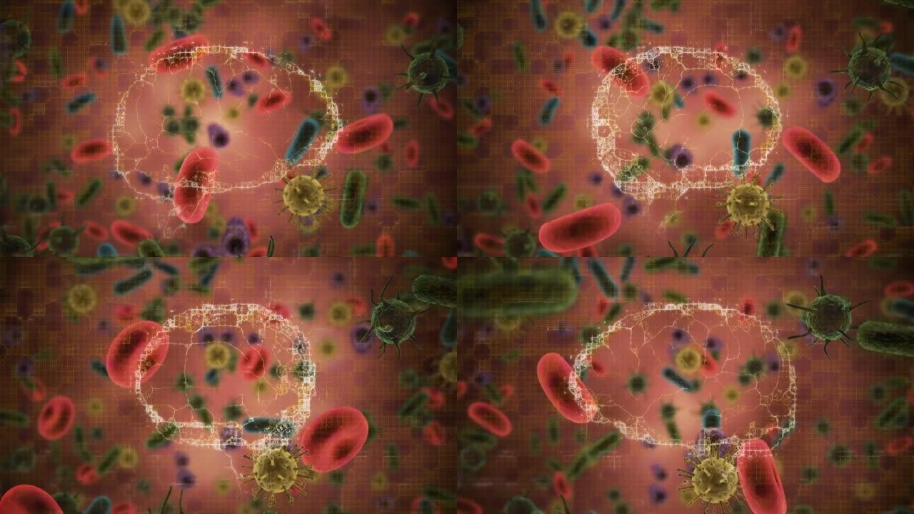 人脑在漂浮的多个新型冠状病毒肺炎细胞和血管上旋转的数字动画