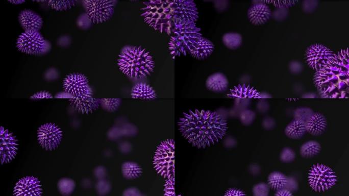 黑色背景下漂浮的多个紫色新型冠状病毒肺炎细胞的数字动画
