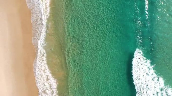 人们在澳大利亚拜伦湾冲浪。