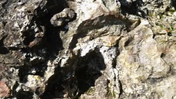 大石头-岩溶石灰岩。表面一块石头的视频