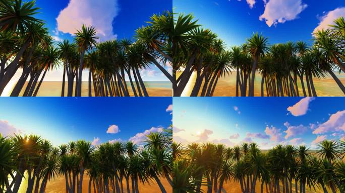 海边海水太阳蓝天沙滩风景马尔代夫棕榈树