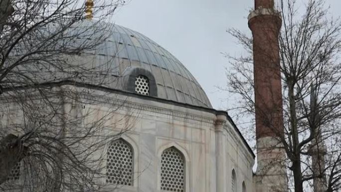 宣礼塔和伊斯坦布尔一座清真寺的圆顶，映衬着冬日灰暗的天空和光秃秃的树木。