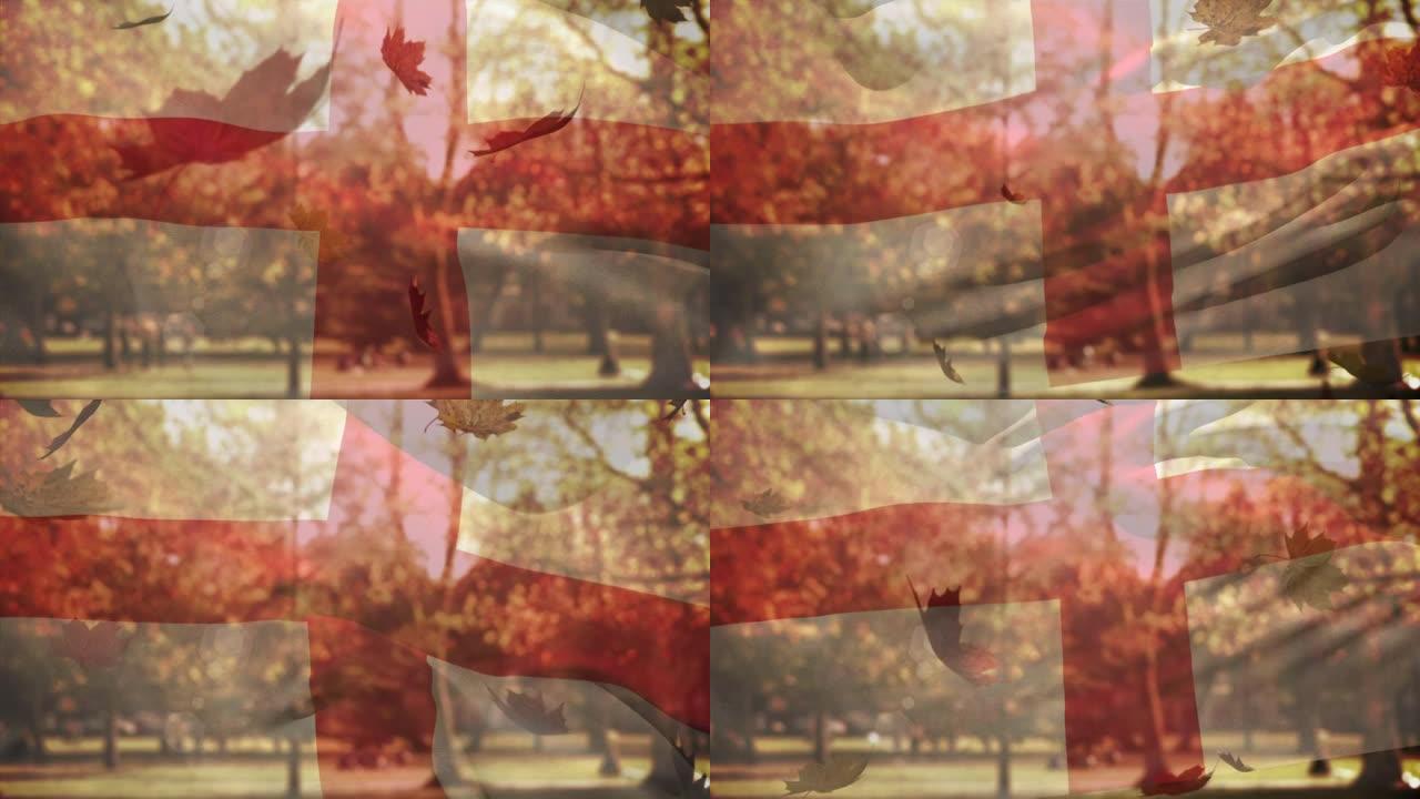 数字组成的英格兰挥舞的旗帜在多秋天落叶飘落在公园