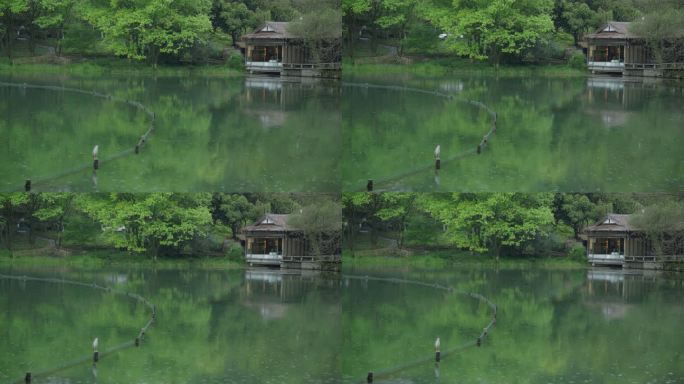 春天杭州乌龟潭阴雨天古建筑植物绿色自然