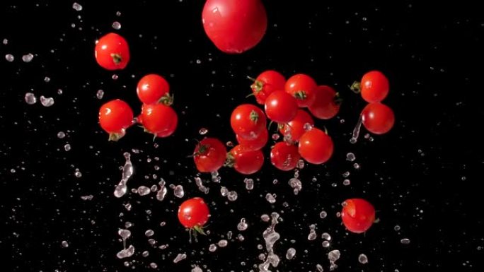 成熟的红色美味西红柿跳起来，在黑色背景上水溅了几次。在慢动作拍摄中，新鲜的湿西红柿被水流抛起。特写