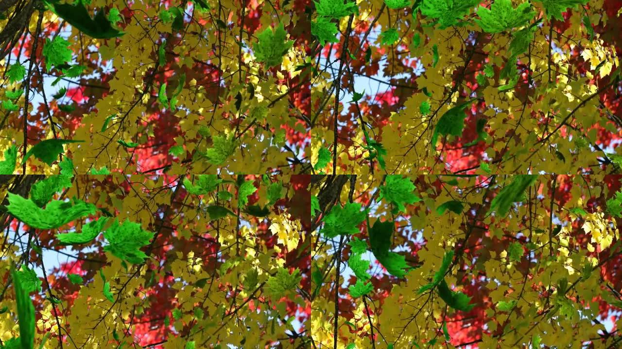 多片叶子落在绿色森林上的动画
