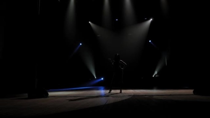 黑暗舞台上豪华歌手的剪影。