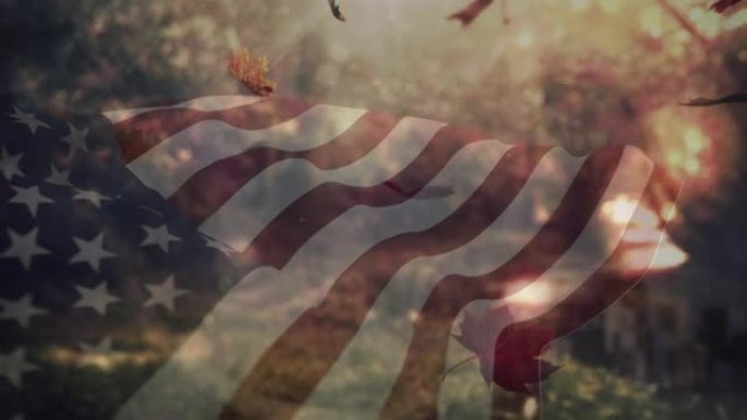 数字构图的美国飘扬的旗帜在多秋天落叶飘落在公园