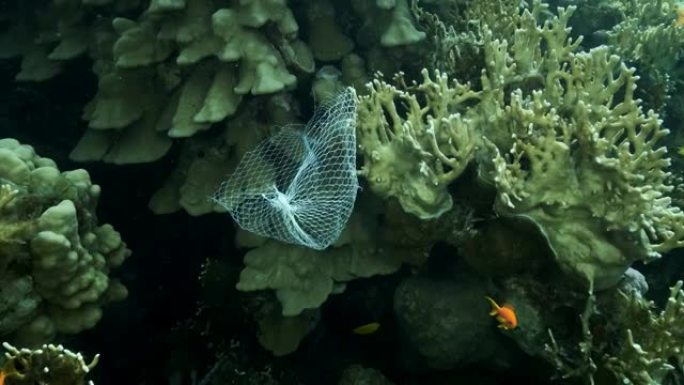 废弃的厨房塑料存储网购物垂下的珊瑚礁。海洋的塑料污染。塑料网袋挂在美丽的珊瑚礁上。