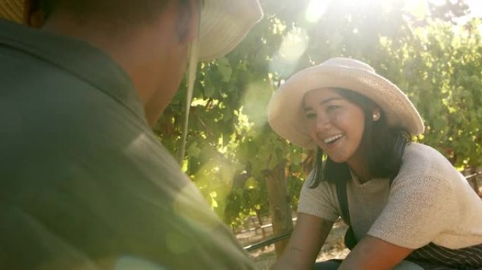 4k视频片段，两个年轻人在葡萄园采摘水果时交谈