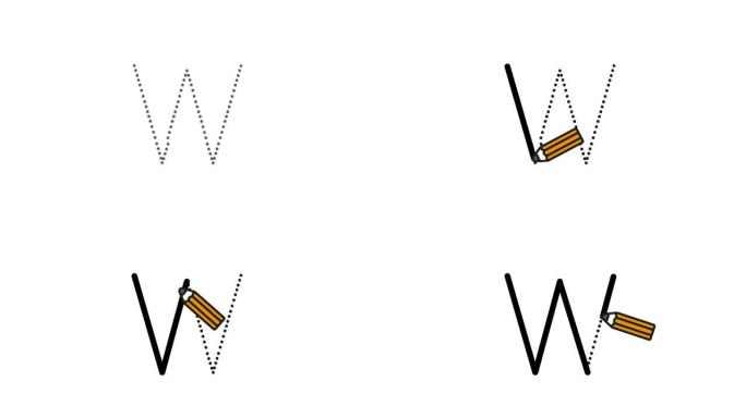 英语字母表写作教程。用隔离在白色背景上的铅笔追踪字母W。儿童动画字母样本顺序书写字母W
