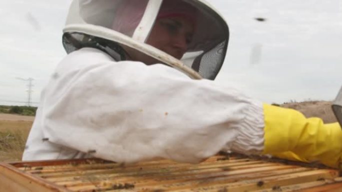 一个养蜂人在农场打开蜂巢框架的4k视频片段