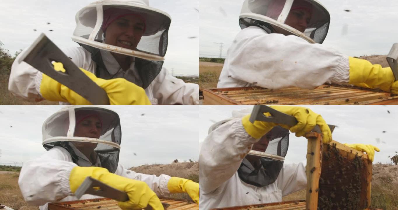 一个养蜂人在农场打开蜂巢框架的4k视频片段