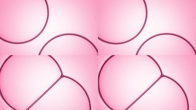 大粉色气泡相互连接，形成气泡簇