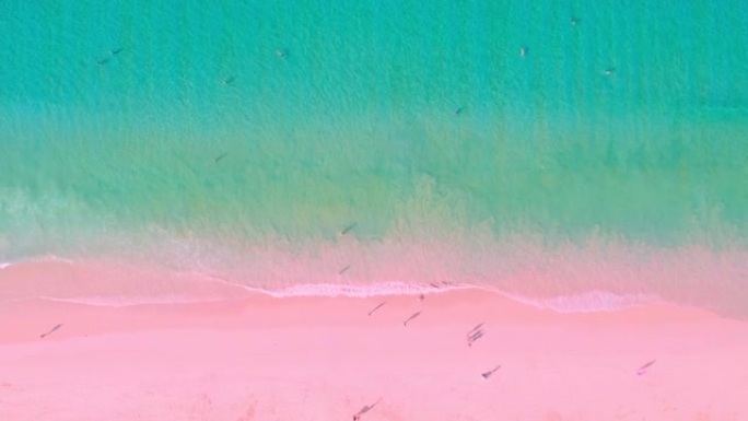 惊人的海洋空中俯视图海洋蓝色海浪打破粉红色沙滩海浪撞击空旷的海滩海浪和美丽的柔和色彩浪漫沙滩高品质视