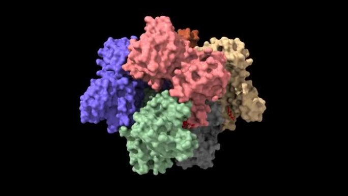 SARS-CoV-2 Nsp15，一种尿苷特异性核糖核酸酶，具有结合的核苷酸uridine-5 '-