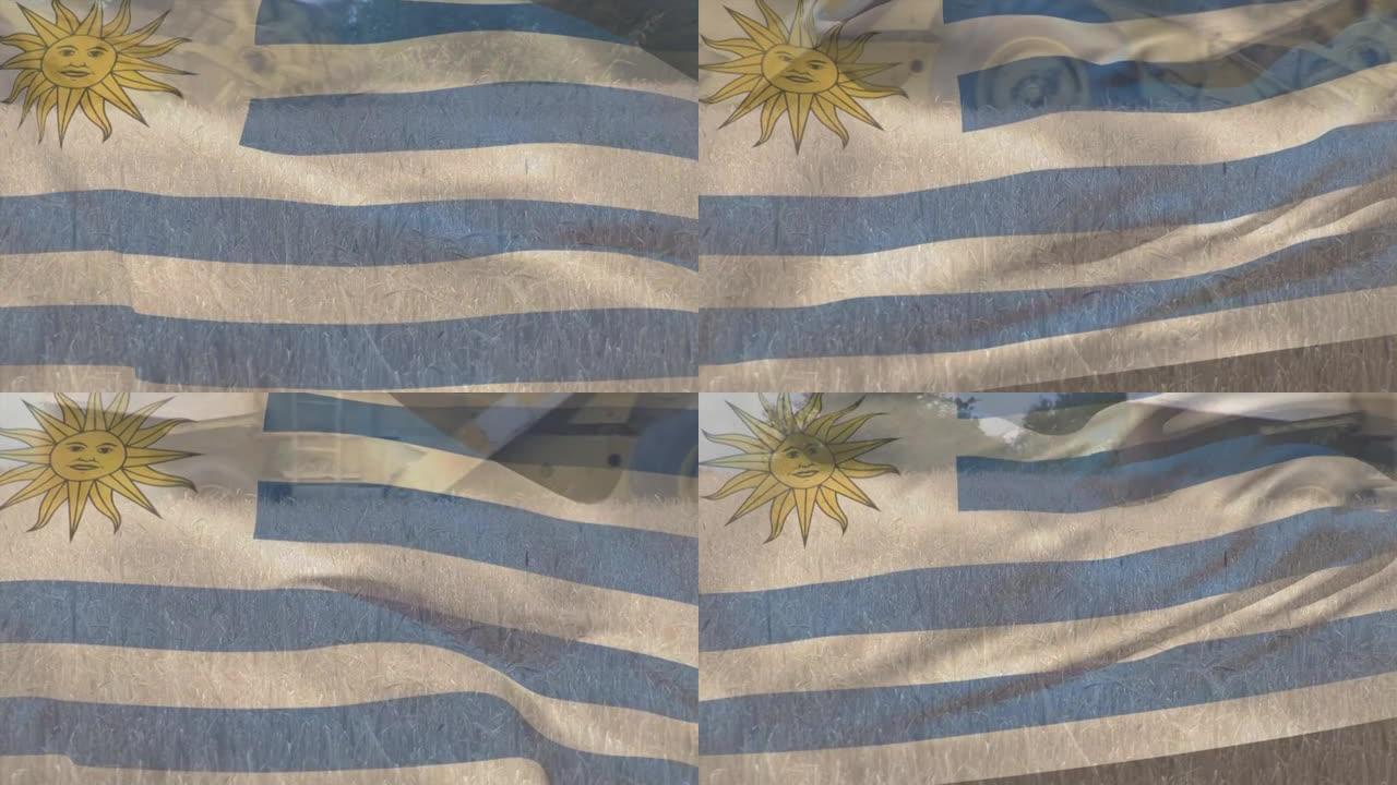 乌拉圭国旗在农田上挥舞的动画